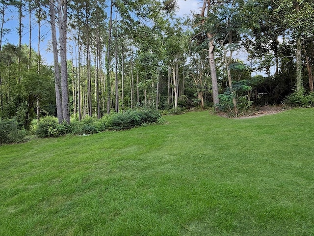 4124 N US Highway 96, Jasper, TX 75951 - view of green lawn