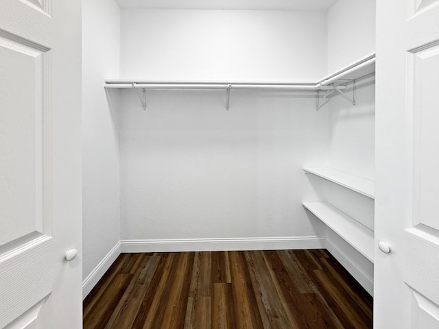 4124 N US Highway 96, Jasper, TX 75951 - walk in closet featuring dark wood-style flooring