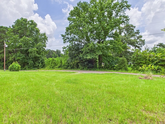 177 Fuller St, Zavalla, TX 75980 - photo 15