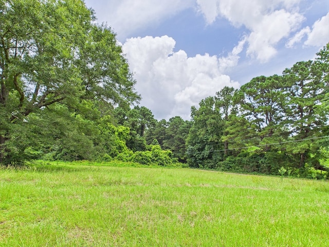 177 Fuller St, Zavalla, TX 75980 - photo 14