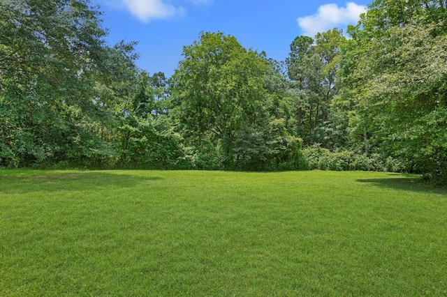 1911 Paul Ave, Lufkin, TX 75901 - view of green lawn with a forest view