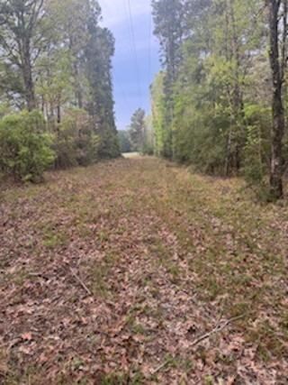 3838 Sh 87 S, Hemphill, TX 75948