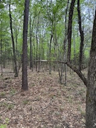 3838 Sh 87 S, Hemphill, TX 75948
