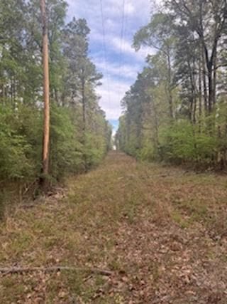 3838 Sh 87 S, Hemphill, TX 75948