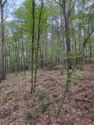 3838 Sh 87 S, Hemphill, TX 75948