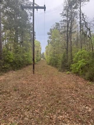 3838 Sh 87 S, Hemphill, TX 75948