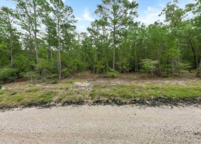 35440, 354435442 Wembley Dr, Brookeland, TX 75931 - photo 14
