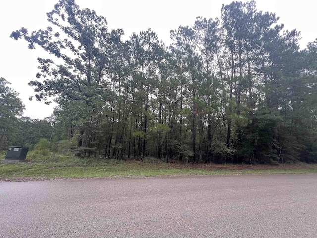 35440, 354435442 Wembley Dr, Brookeland, TX 75931 - photo 17