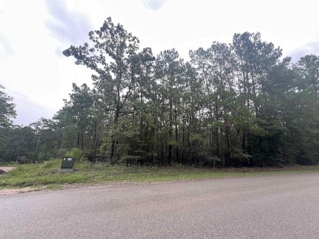 35440, 354435442 Wembley Dr, Brookeland, TX 75931 - photo 18