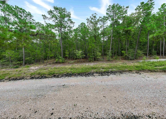 35440, 354435442 Wembley Dr, Brookeland, TX 75931 - photo 12