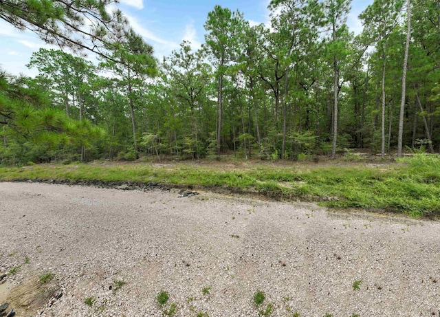 35440, 354435442 Wembley Dr, Brookeland, TX 75931 - photo 15