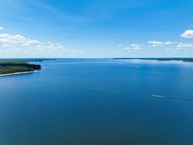 140 Spruce Ln, Brookeland, TX 75931 - water view