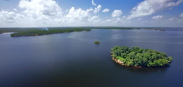 140 Spruce Ln, Brookeland, TX 75931 - water view