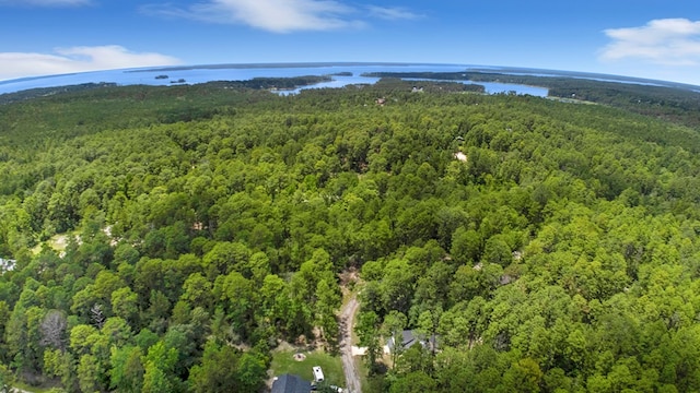 140 Spruce Ln, Brookeland, TX 75931 - view of property location featuring a heavily wooded area and a nearby body of water