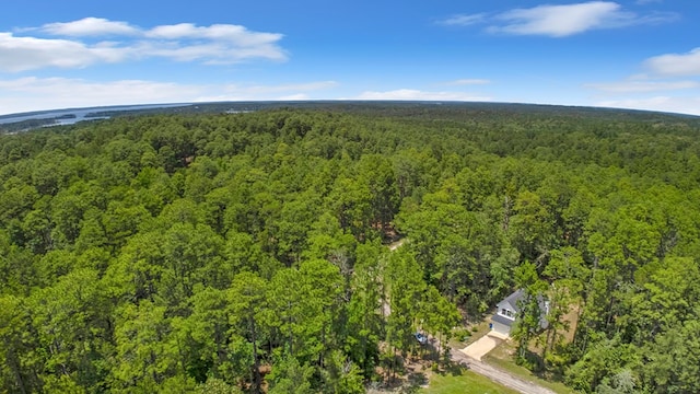 140 Spruce Ln, Brookeland, TX 75931 - bird's eye view of a heavily wooded area