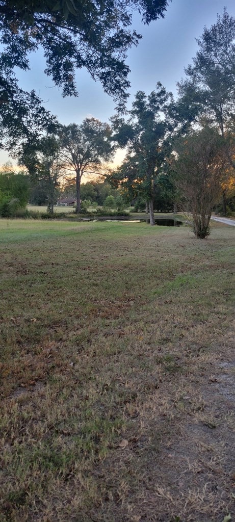 3902 Moore Cemetary Rd, Groveton, TX 75845 - view of grassy yard