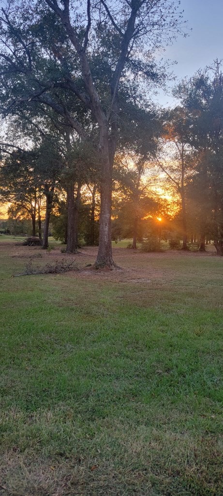 view of yard at dusk