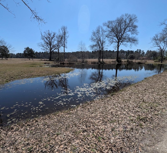 3902 Moore Cemetary Rd, Groveton, TX 75845 - water view