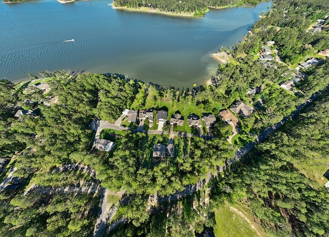 185 Ashley Dr, Brookeland, TX 75931 - view of property location featuring a nearby body of water