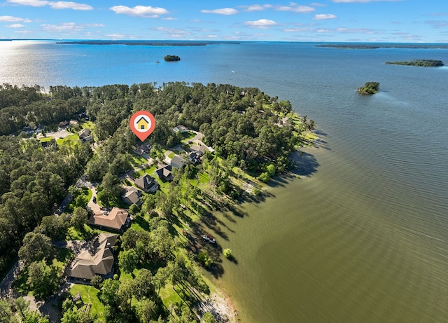 185 Ashley Dr, Brookeland, TX 75931 - bird's eye view of a large body of water