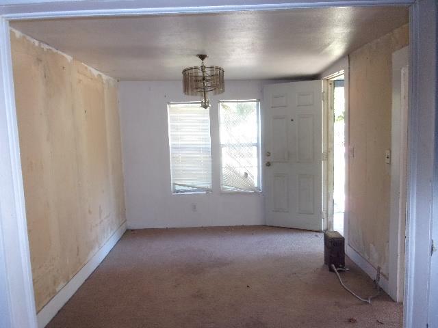 carpeted entryway with a wealth of natural light