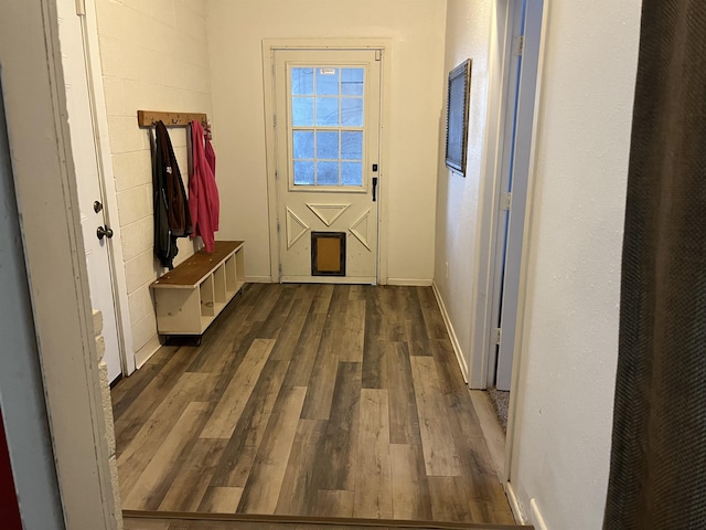 entryway featuring dark hardwood / wood-style floors