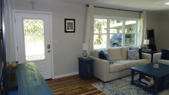 living room featuring dark hardwood / wood-style flooring