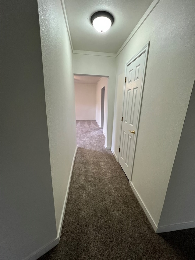 hall featuring crown molding, a textured wall, baseboards, and carpet floors