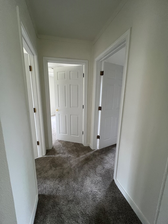 hallway with crown molding, carpet, and baseboards