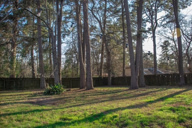 view of yard with a fenced backyard