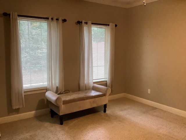 810 Denton Dr, Jasper, TX 75951 - living area featuring carpet floors and plenty of natural light