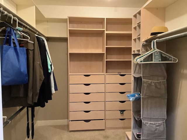 810 Denton Dr, Jasper, TX 75951 - spacious closet with carpet flooring