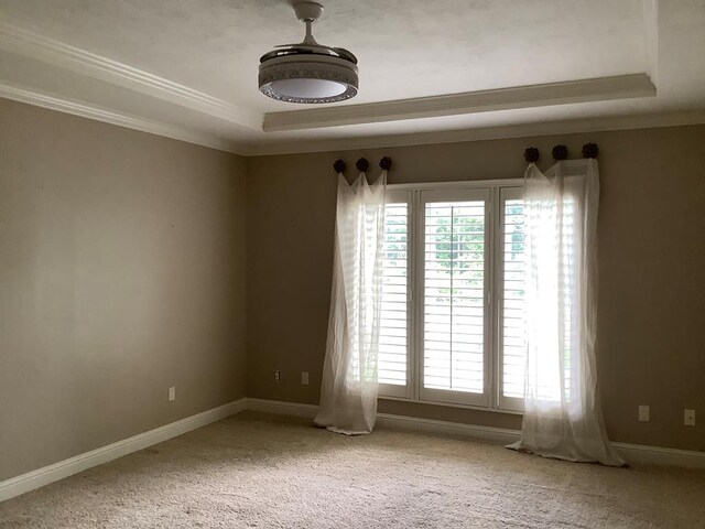 810 Denton Dr, Jasper, TX 75951 - unfurnished room featuring a raised ceiling, plenty of natural light, ornamental molding, and carpet flooring