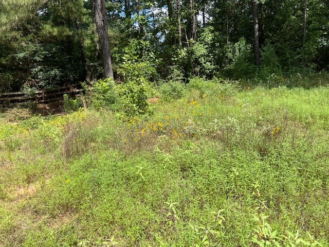 578 County Road 4688, Gary, TX 75643 - photo 16
