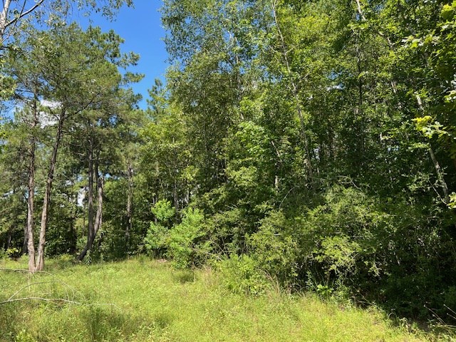 578 County Road 4688, Gary, TX 75643 - photo 18