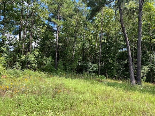 578 County Road 4688, Gary, TX 75643 - photo 13