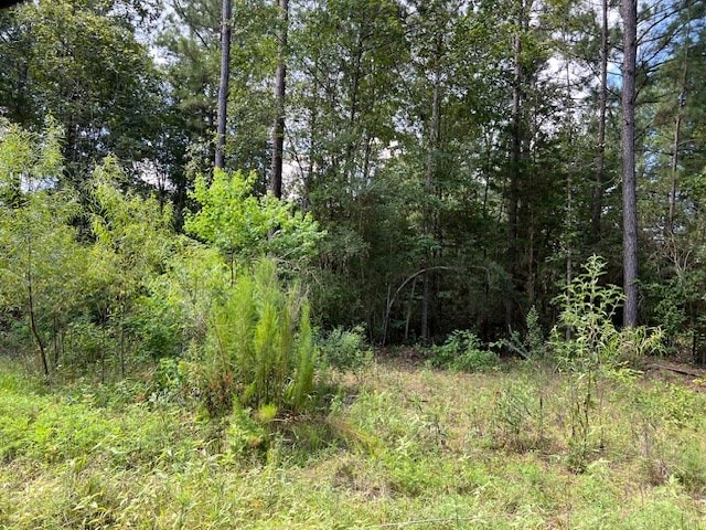 578 County Road 4688, Gary, TX 75643 - photo 15