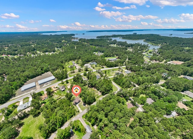 182 Post Oak Ln, Brookeland, TX 75931 - bird's eye view of a large body of water and a forest