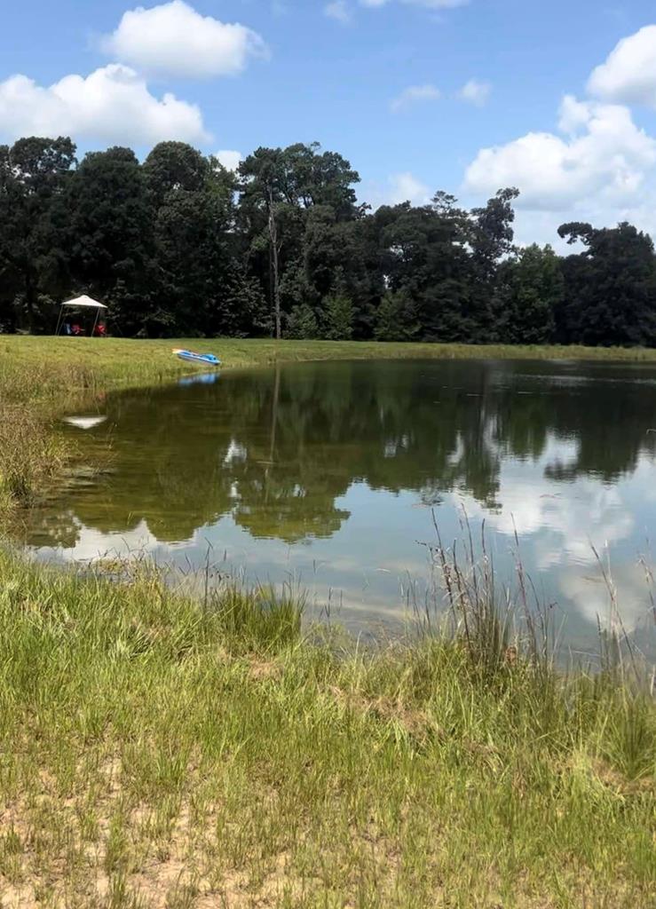 LOT34 County Road 173, Jasper, TX 75951