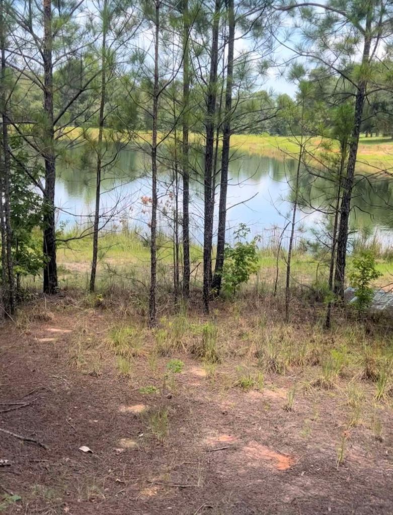 LOT34 County Road 173, Jasper, TX 75951