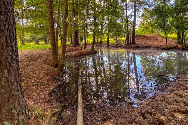 1533 County Road 348, Broaddus, TX 75929 - photo 6