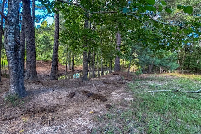 1533 County Road 348, Broaddus, TX 75929 - photo 63