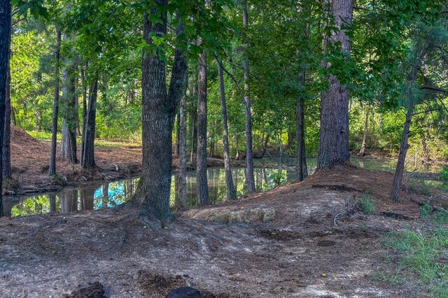 1533 County Road 348, Broaddus, TX 75929 - photo 60