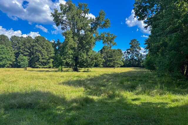 1533 County Road 348, Broaddus, TX 75929 - photo 62