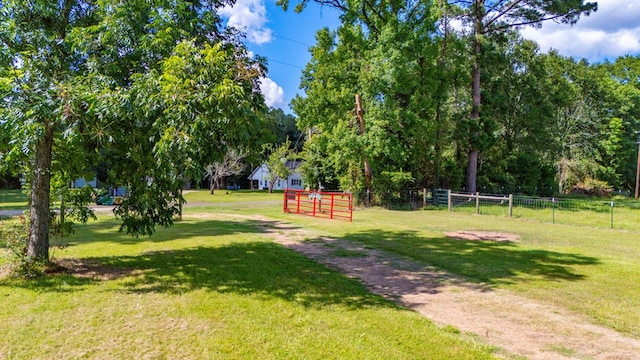 1533 County Road 348, Broaddus, TX 75929 - photo 72