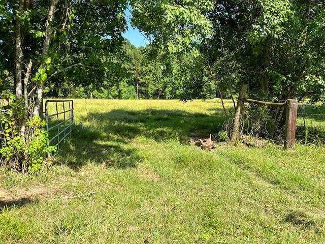 1533 County Road 348, Broaddus, TX 75929 - photo 55