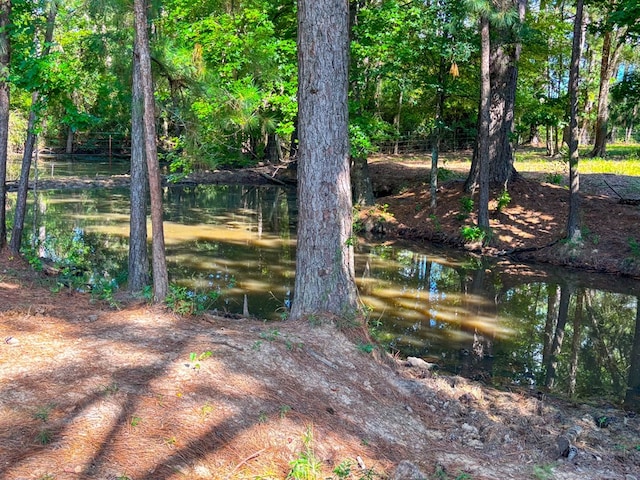 1533 County Road 348, Broaddus, TX 75929 - photo 65