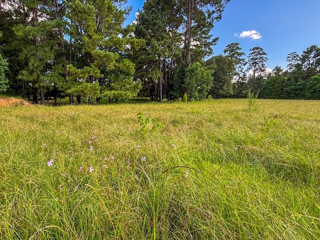 1533 County Road 348, Broaddus, TX 75929 - photo 64