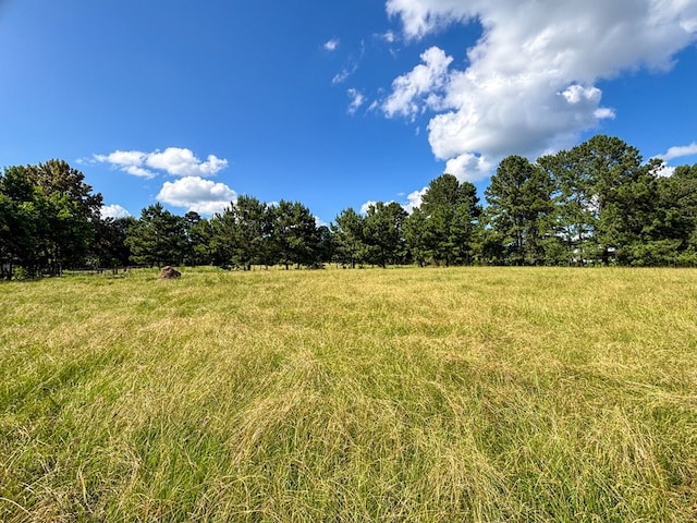 1533 County Road 348, Broaddus, TX 75929 - photo 47
