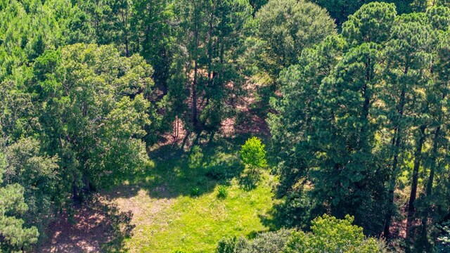 1533 County Road 348, Broaddus, TX 75929 - photo 48
